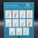 Основа French Rubber Base Global Fashion 15 мл. № 7 Nat-0134 фото 4