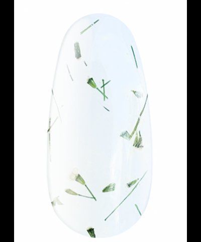 Kodi Professional Гель с сухоцветом Flower Gel №01, 4 мл 02733 фото