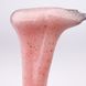 Гель для наращивания ногтей Crooz Gemstone Builder Gel 15мл. №4 Mary155 фото 2